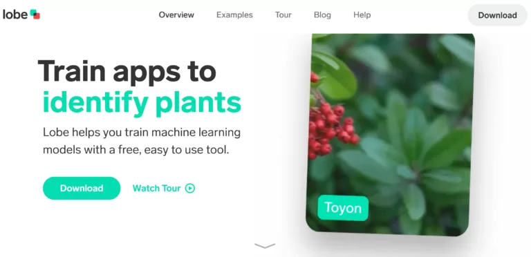 Lobe helps you train machine learning models with a free