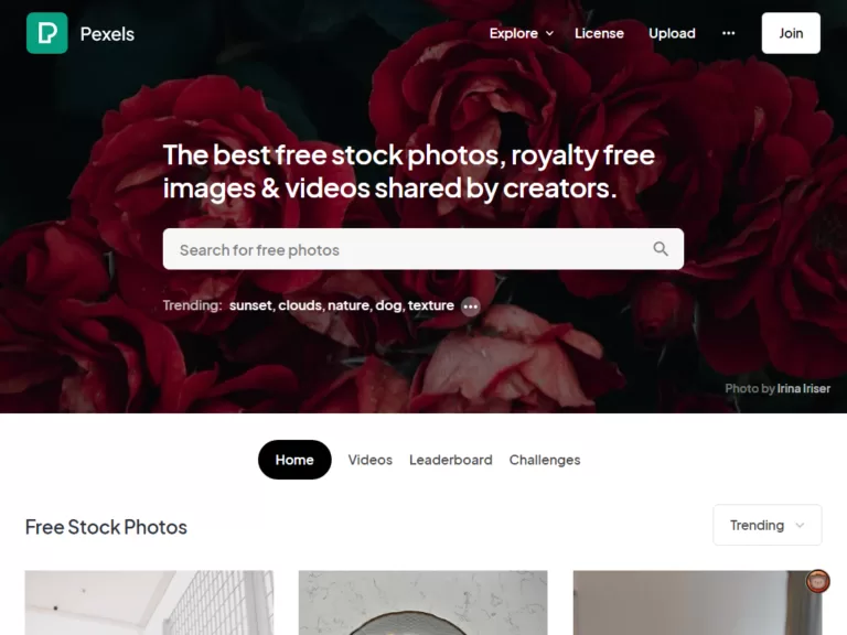 The best free stock photos